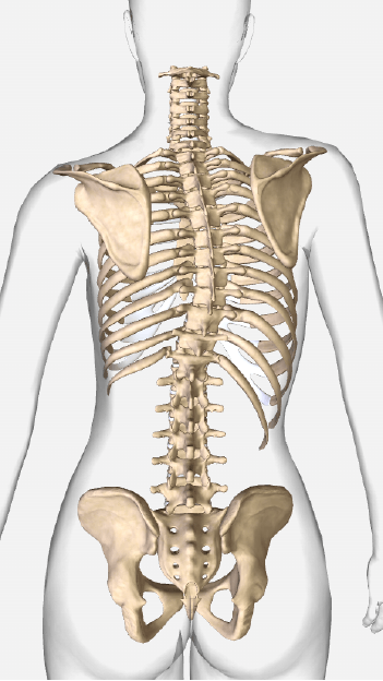 Sacroilitis