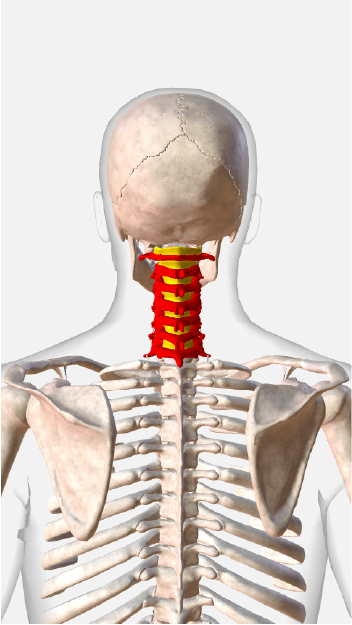 Canal cervical estrecho